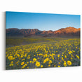 California Desert Bloom - Vibrant Death Valley Landscape Art Prints