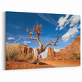 Desert Serenity - Iconic Death Valley National Park Canvas Prints