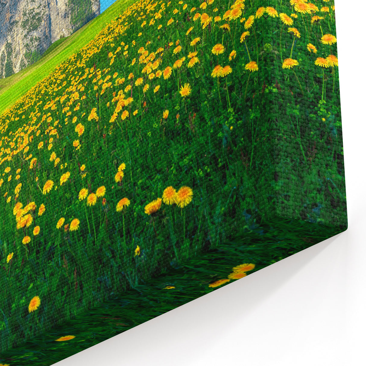 Italy Nature Artwork - Dolomites Canvas Print with Flower Fields
