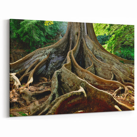 Kauai Nature Art – Majestic Tree Roots Canvas & Framed Photography