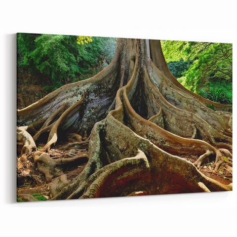 Kauai Nature Art – Majestic Tree Roots Canvas & Framed Photography
