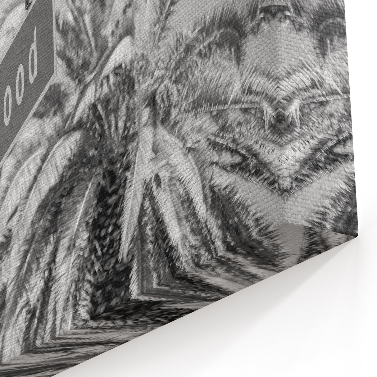 Black and White Hollywood Street Sign with Palm Trees - Classic Wall Art