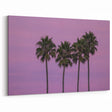 California Palm Trees at Sunset - Vibrant Hollywood Skyline Wall Art