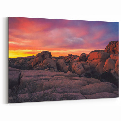 Joshua Tree Sunset Over Rocks - Scenic Desert Landscape Wall Art
