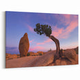 Joshua Tree National Park Canvas Art - Scenic Desert Landscape Wall Decor