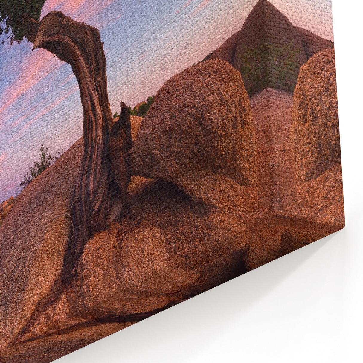 Joshua Tree National Park Canvas Art - Scenic Desert Landscape Wall Decor