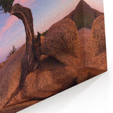 Joshua Tree National Park Canvas Art - Scenic Desert Landscape Wall Decor