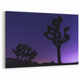 Joshua Tree Starry Night - Scenic Desert Landscape Wall Art
