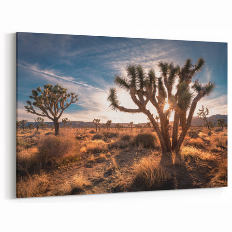 Joshua Tree National Park Sunrise - Scenic Desert Landscape Wall Art