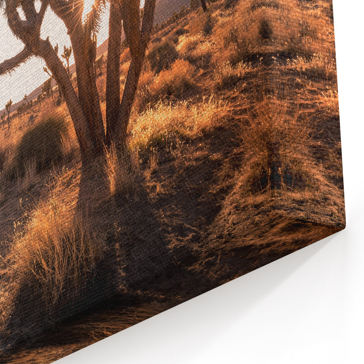 Joshua Tree National Park Sunrise - Scenic Desert Landscape Wall Art