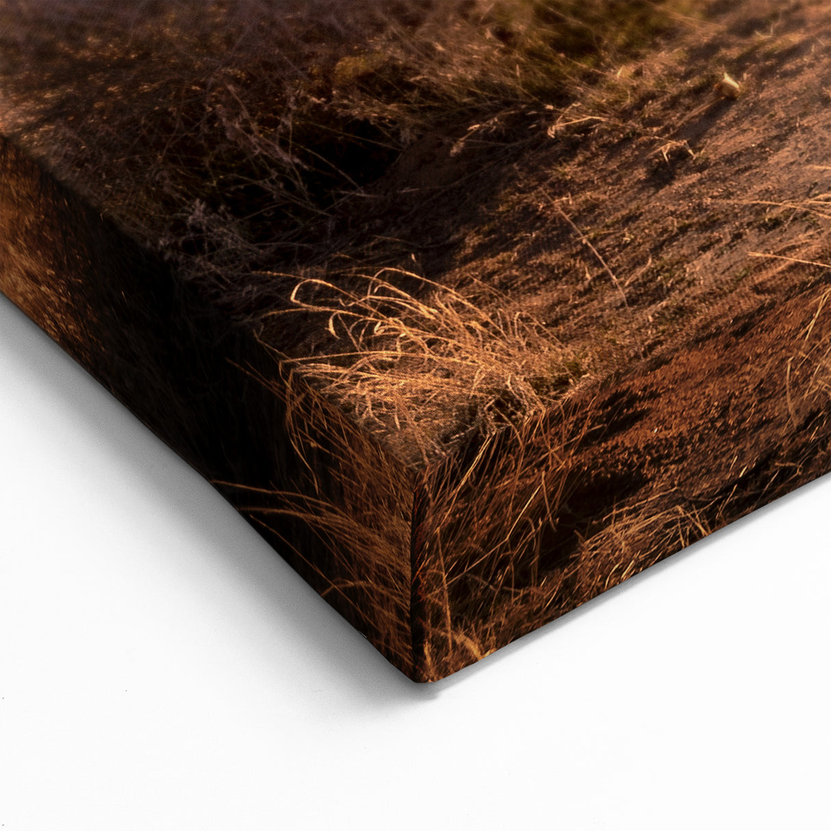 Joshua Tree National Park Sunrise - Scenic Desert Landscape Wall Art