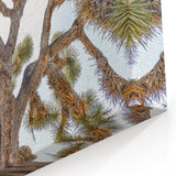 Joshua Tree From Below - Unique Desert Landscape Wall Art