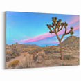 Joshua Tree Desert Vista - Scenic California Landscape Wall Art
