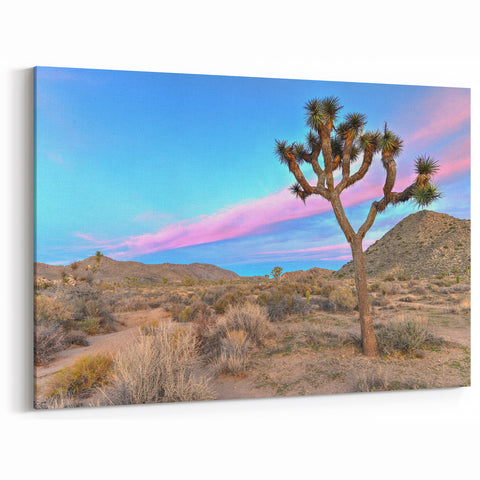 Joshua Tree Desert Vista - Scenic California Landscape Wall Art