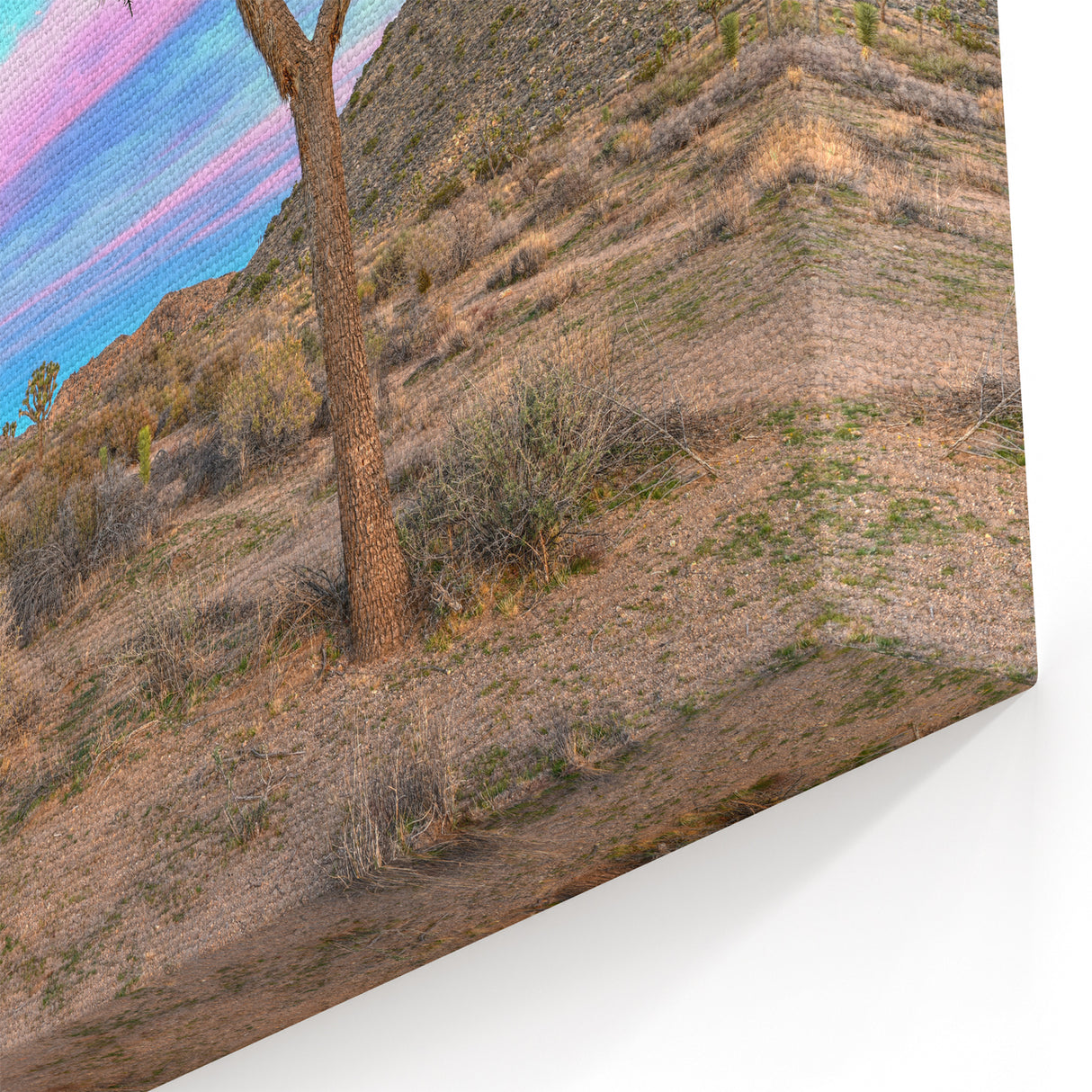 Joshua Tree Desert Vista - Scenic California Landscape Wall Art