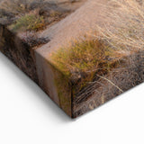 Joshua Tree Desert Vista - Scenic California Landscape Wall Art