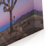 Joshua Tree Twilight Sky - Scenic Desert Landscape Wall Art