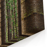 Kauai Nature Art – Forest Trees in Tranquil Wilderness Canvas Print