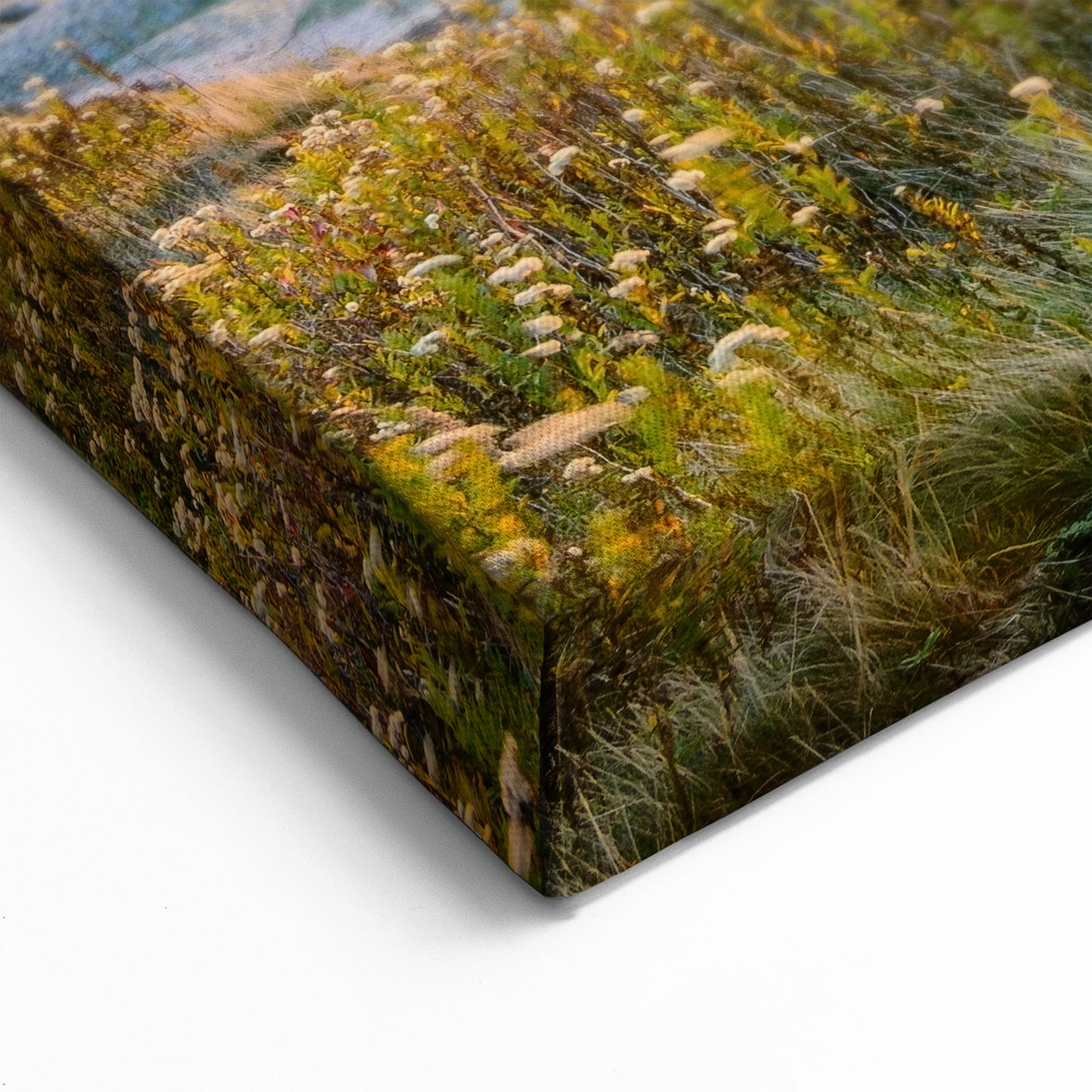 Acadia National Park Wall Art - Sunrise Coastal Maine Landscape Photography