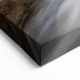 Acadia National Park Posters - Maine Waterfall Photography Wall Art Print