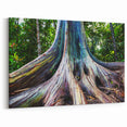 Hawaiian Nature Art – Maui Rainbow Eucalyptus Tree Photography Print