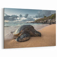 Hawaiian Beach Art – Maui Sea Turtle Photography Print for Tropical Decor