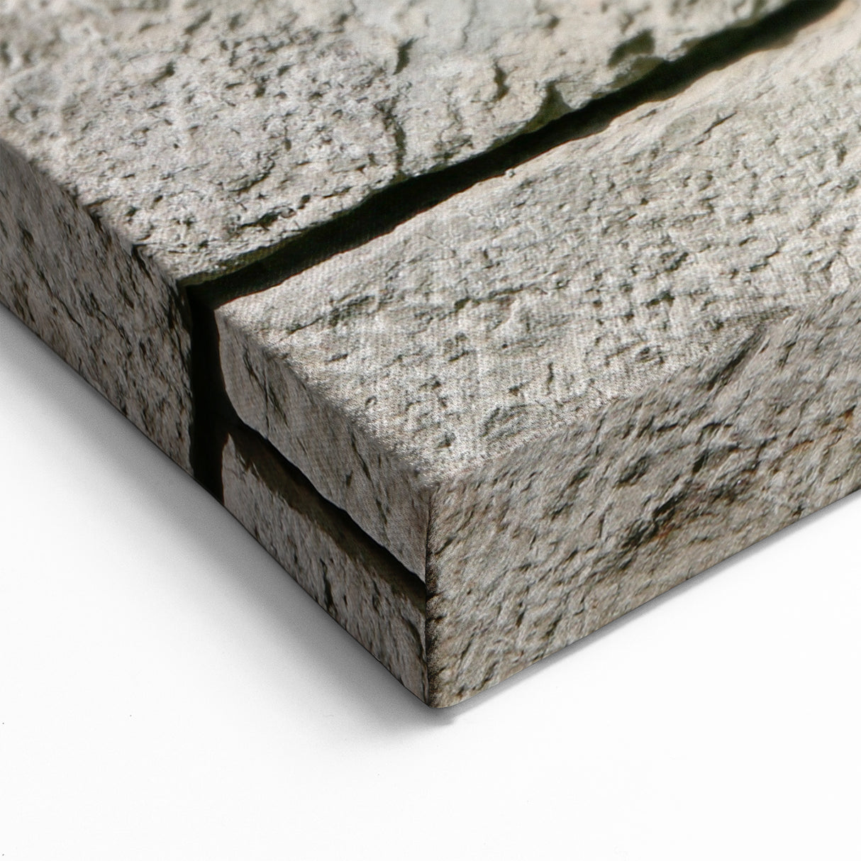 Intricate Floral Masonry Wall Art - Stone Carving Canvas Print Decor