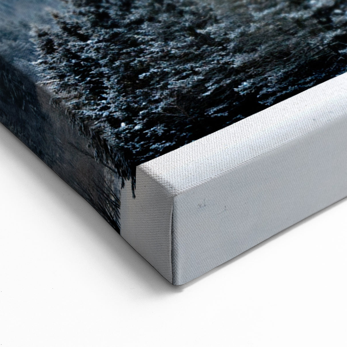 Vermont Winter Landscape Art - Snowy Pines and Mountains Canvas Print