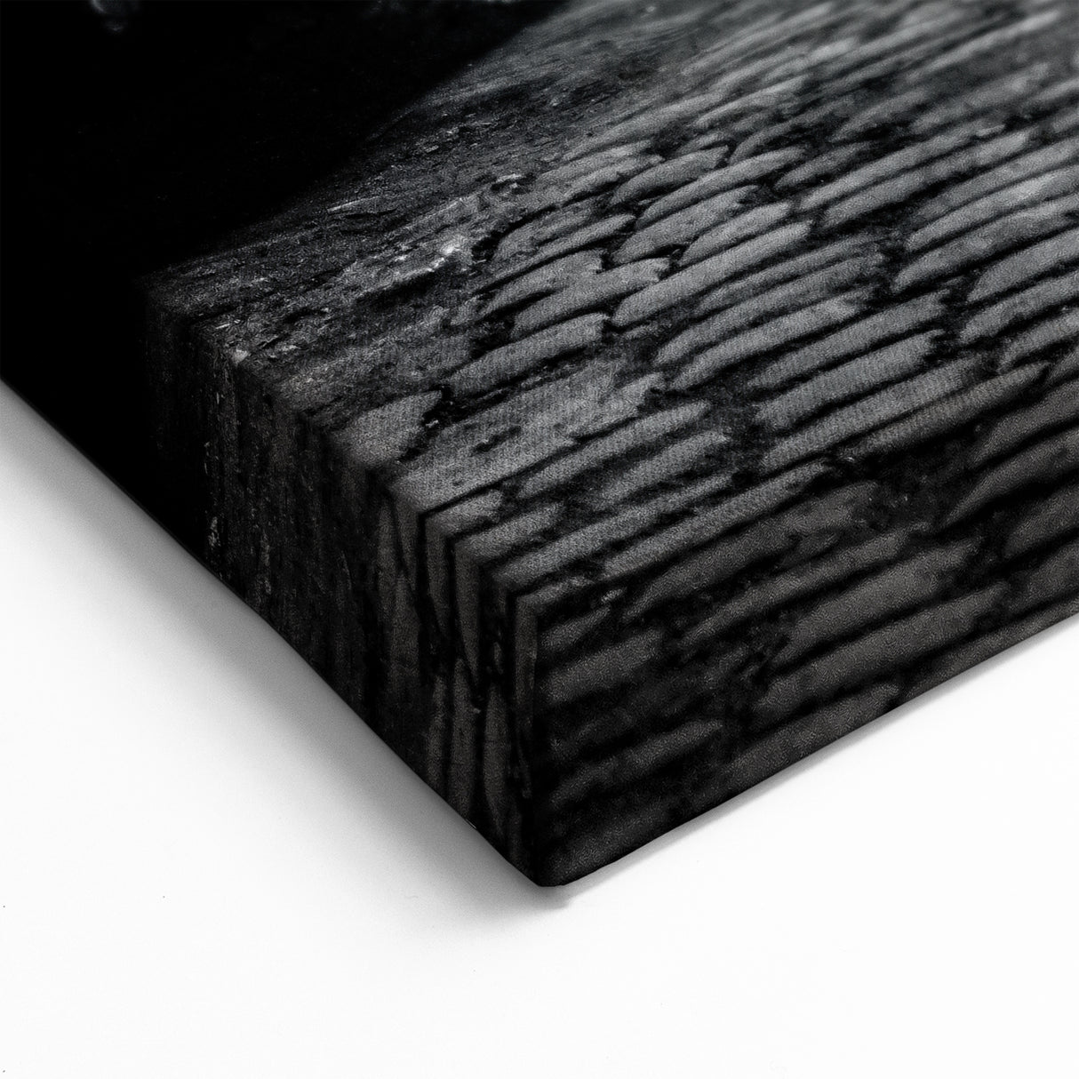 Rustic Masonry Wall Art - Black & White Gated Alley Canvas Print Decor