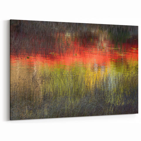 Acadia National Park Prints - Scenic Autumn Reflections in Coastal Maine