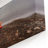 Acadia Landscape Photography - Coastal Kayak Adventure in Maine