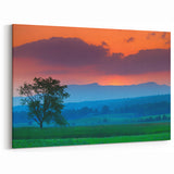 Vermont Sunset Landscape Art - Silhouetted Tree and Mountain Canvas Print
