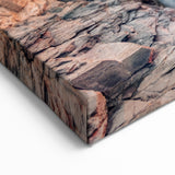 Acadia National Park Wall Art - Fiery Coastal Sunset in Maine