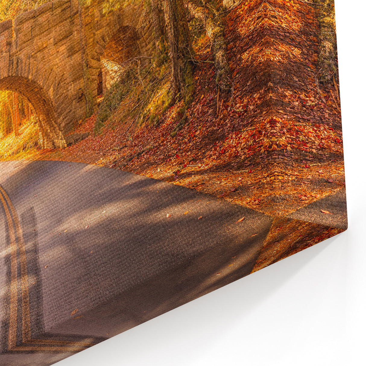 Acadia National Park Prints - Autumn Bridge and Foliage in Maine