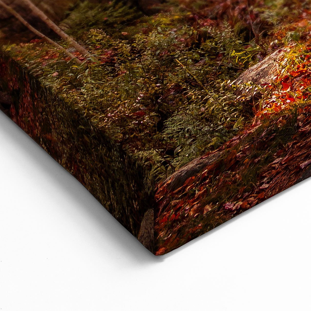 Acadia National Park Prints - Autumn Bridge and Foliage in Maine