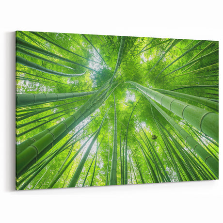 Maui Scenery Art – Tranquil Bamboo Forest Photography for Wall Decor