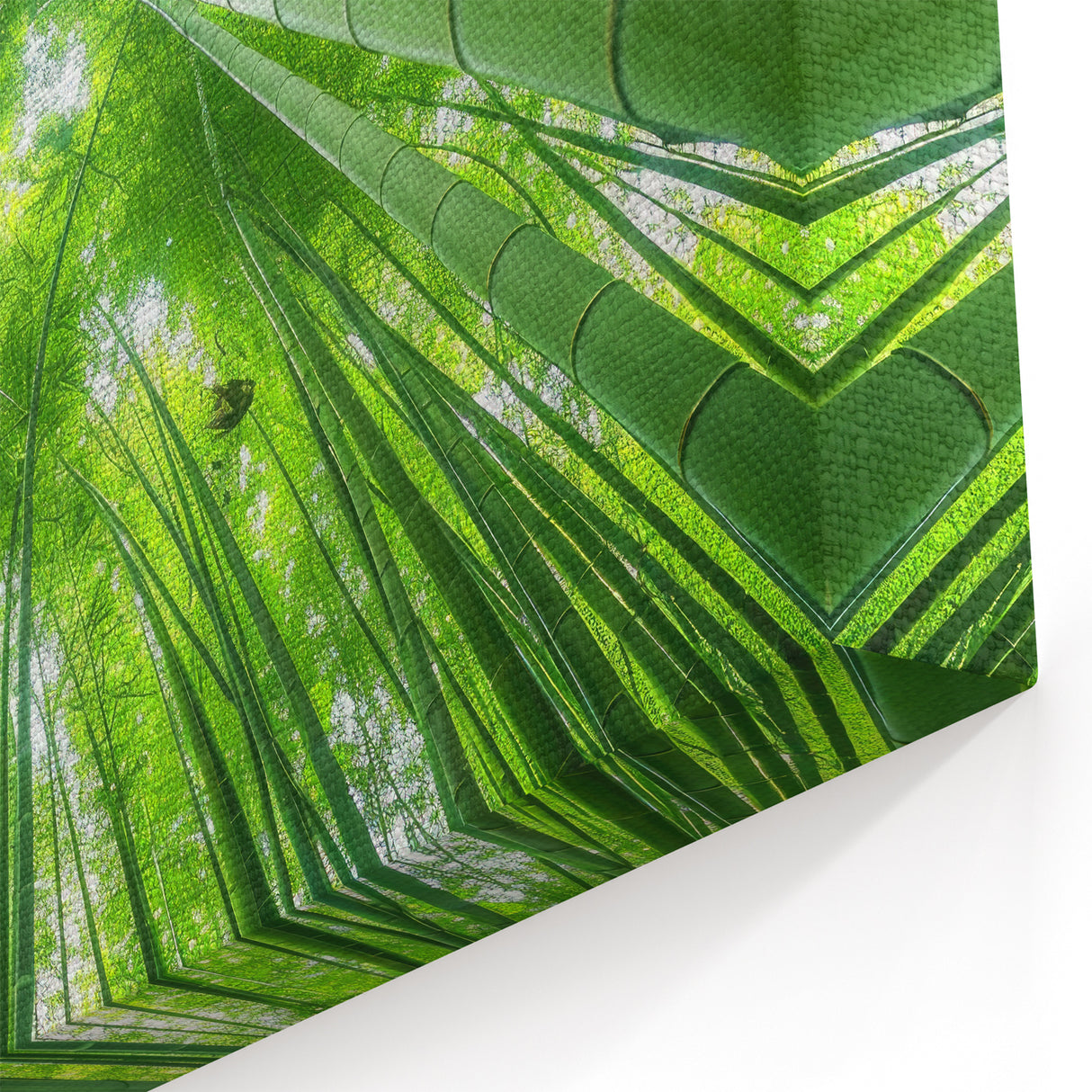 Maui Scenery Art – Tranquil Bamboo Forest Photography for Wall Decor