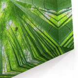 Maui Scenery Art – Tranquil Bamboo Forest Photography for Wall Decor