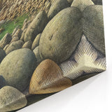 Acadia National Park Posters - Rocky Coastal Shoreline Art Print in Maine