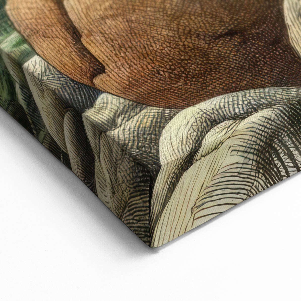 Acadia National Park Posters - Rocky Coastal Shoreline Art Print in Maine