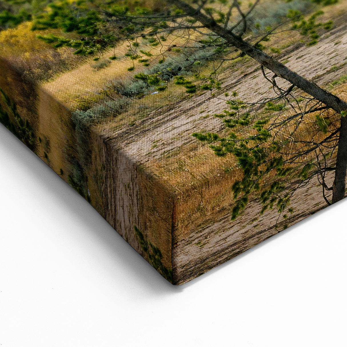 Scenic Idaho Wall Art - Stunning Idaho Landscape Art with Sawtooth Mountains