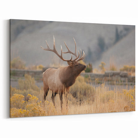 Idaho Wildlife Art - Majestic Elk in Scenic Idaho Landscape Photography