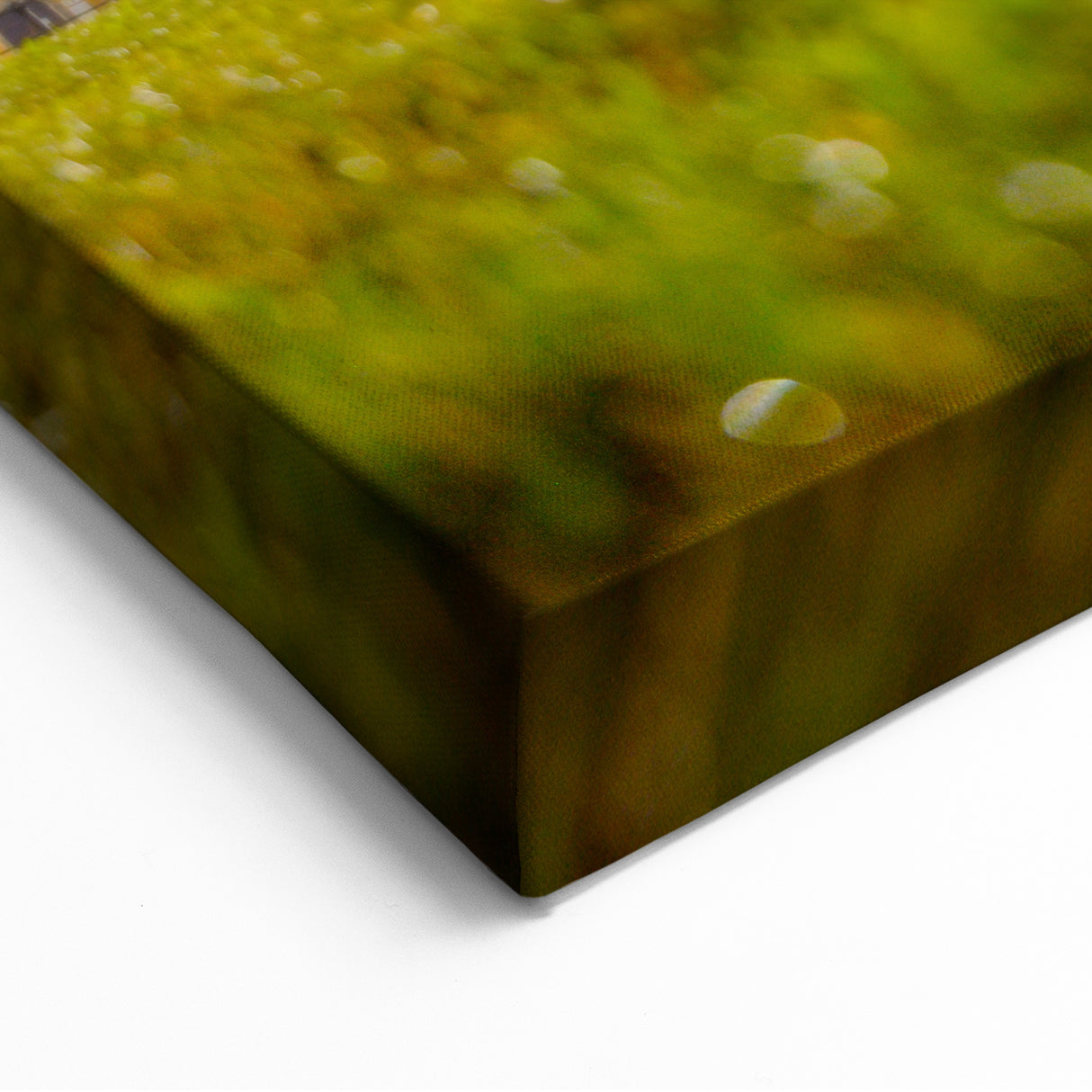 Leaning Tower of Pisa Wall Art - Nighttime Pisa Landmark Photography