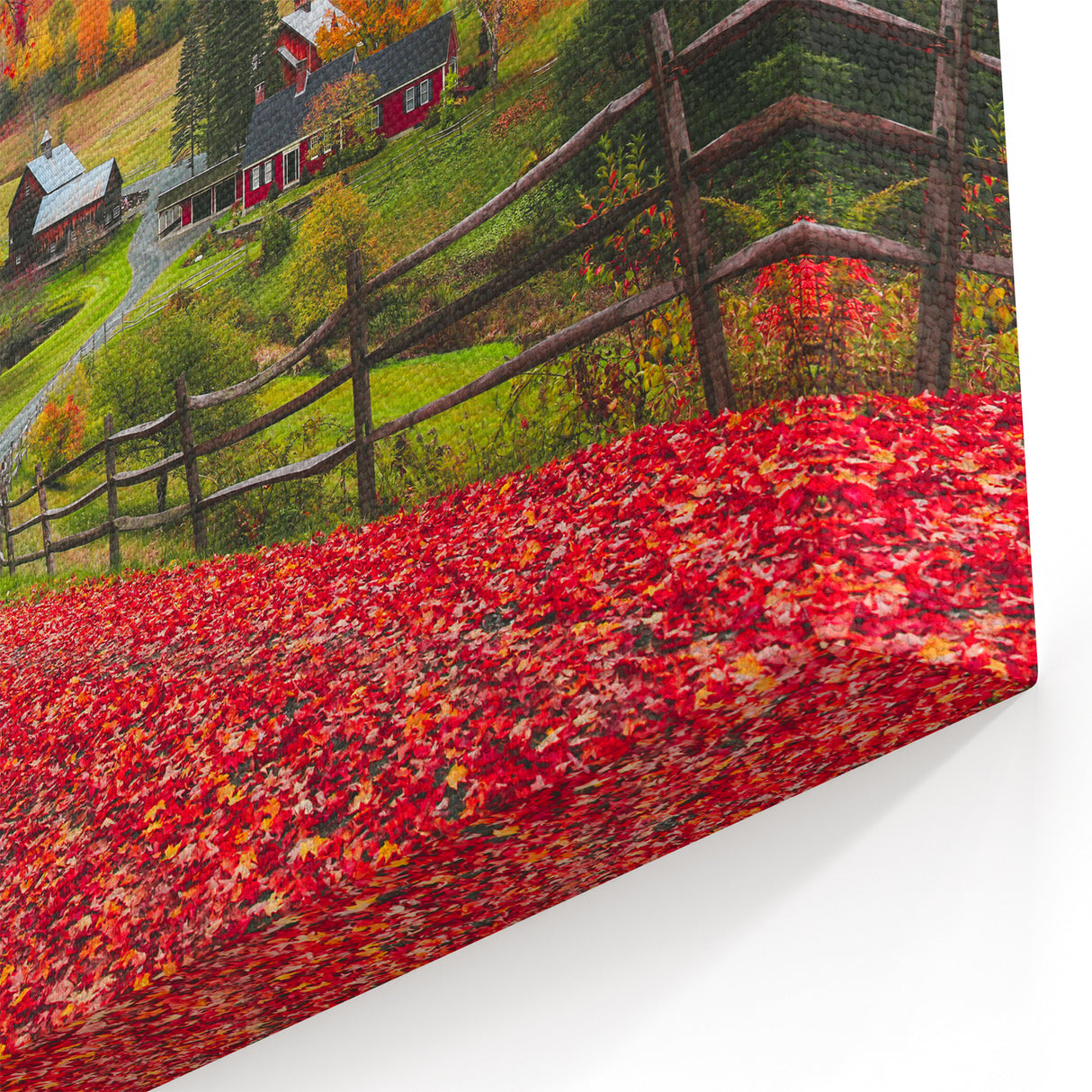 Vermont Nature Art - Autumn Farm Scene with Red Leaves Vermont Landscape Print