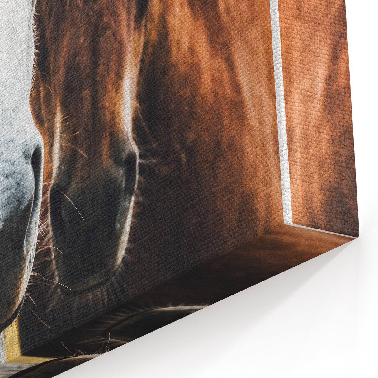 Equine Companions - Rustic Horse Portrait Art