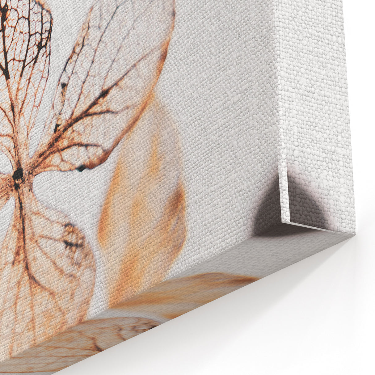 Delicate Decay - Vintage Botanical Rustic Art