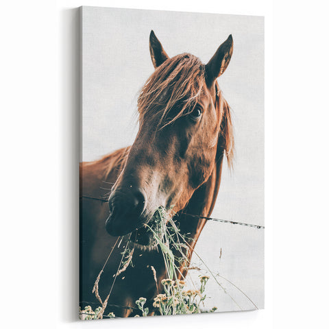 Grazing Grace - Rustic Horse Close-Up Art