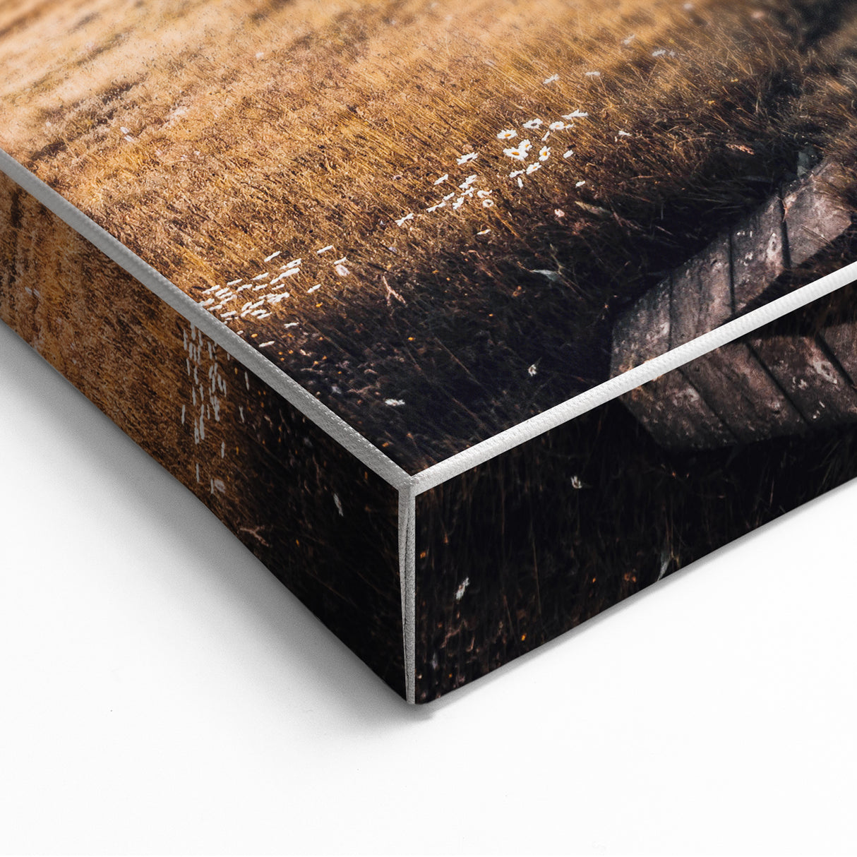 Alpine Retreat - Rustic Cabin Landscape Art