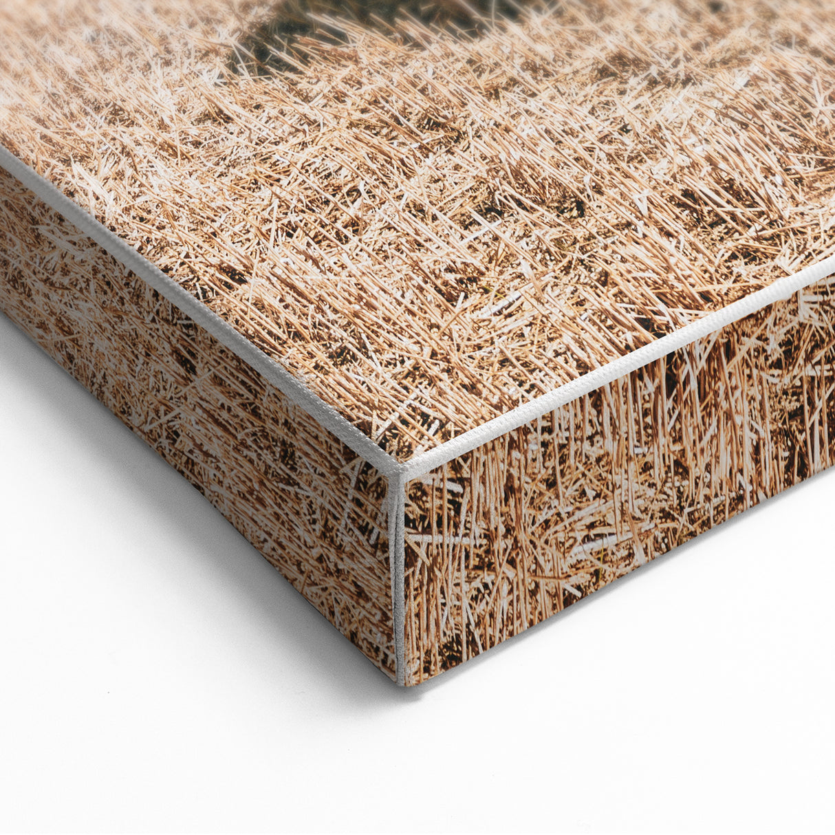 Golden Harvest - Rustic Farmland Art