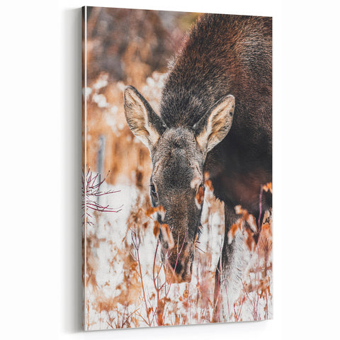 Forest Forager - Rustic Moose Portrait Art"